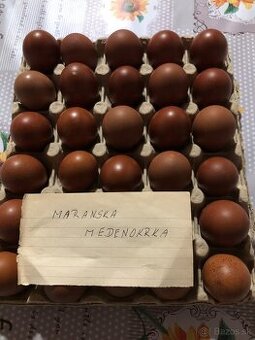 Predám nasadove vajcia