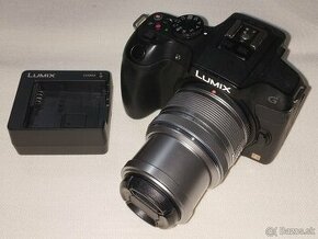 Panasonic Lumix DMC-G6 - 1