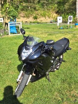 Suzuki GS500F 2007