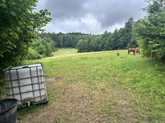 Pastvinové ustajnenie