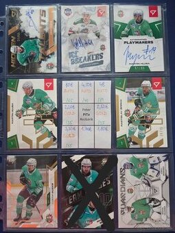 SHL - Skalica, Topolcany, Detva, NZ, U18