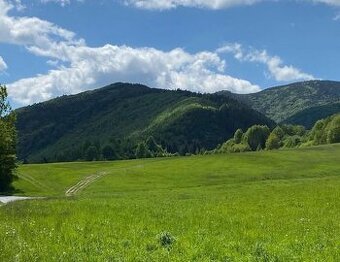 Čierny Balog – 98 m2 LES a PÔDA – PREDAJ - 1