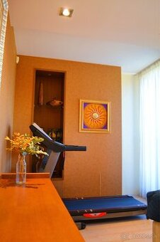 PREDAJ - penthouse Nové Zámky