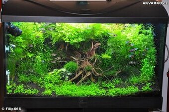 Diversa 126L