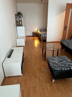 Dám do nájmu byt a izbu aj stredoškolským študentkám aj VŠ