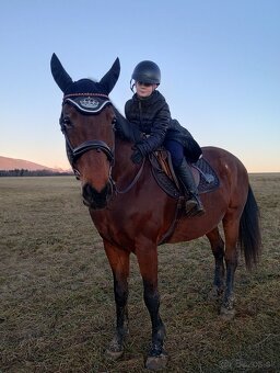 Predám/ vymením 10r kobylu na rekreaciu - 1