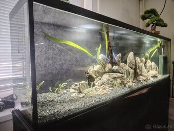 Predám akvárium