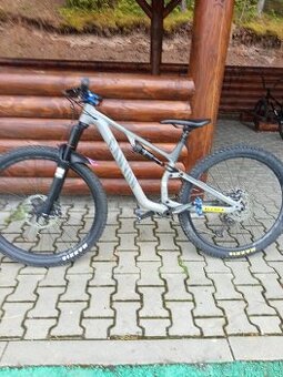 Canyon neuron 5