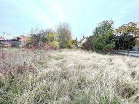 Stavebná parcela v Andovciach so starým domom