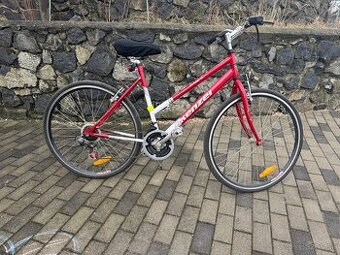 Damsky bicykel Kenzel kross