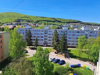 1-izb. byt s balkonom