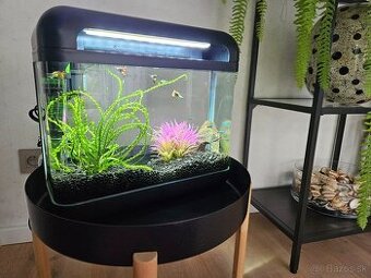 Akvarium 17l
