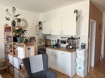 Na prenájom novodobý 1 izbový byt, Nitra, Chrenová