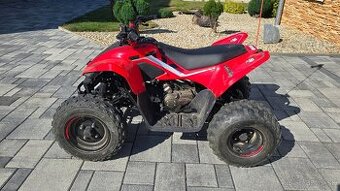CF Moto X110