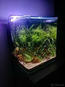 Akvárium Nano cube 30l (300€)
