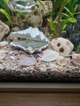 Okysličovač do akvária mušľa