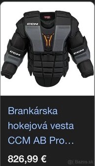 CCM PRO AB Brankárska Vesta