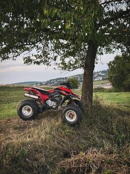 Honda TRX300ex