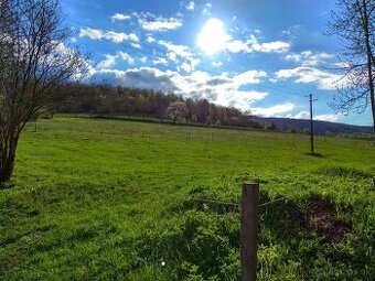 Pozemok na lazoch – Horný Tisovník, Javorie, 1180 m²