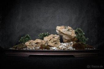 Krajinka Bonsai v miske 78x38cm