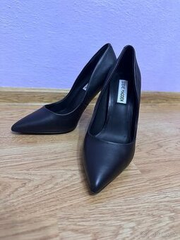 Lodicky Steve Madden