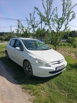 Peugeot 307 1.6