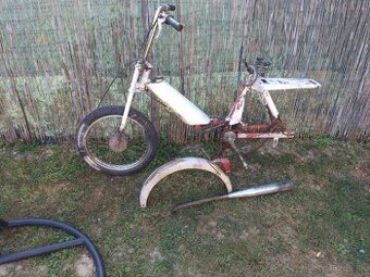 BABETTA 207