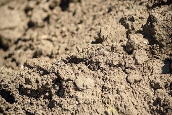 Darujem vykopovu zeminu s dovozom cca 30ton