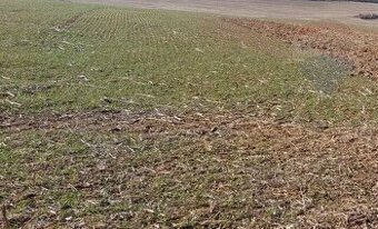 Predaj orná pôda 1733860 m2 okres Nové Zámky - 1