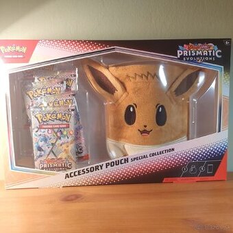 Pokémon Accessory Pouch
