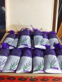 Levandula - 1