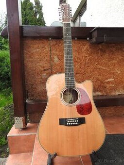Predam 12strunovu gitaru