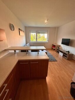 Prenájom 2-izbového bytu s garážovým parkovaním na Zongorke