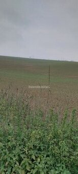 EXKLUZIVNE na predaj orná pôda Nitra - Kynek, ulica Na Doli