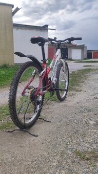 Starý Dema Pegas bicykel