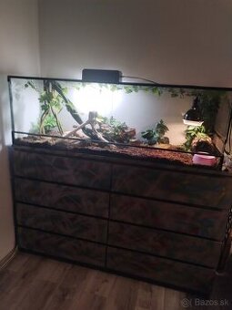 Terarium s pytonom