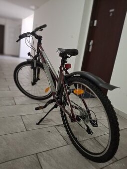 Bicykel