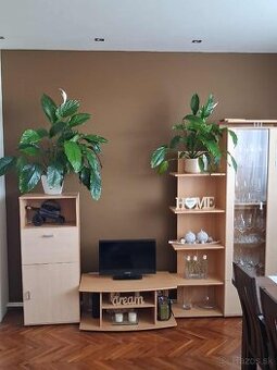 Obývacia stena / obývačková zostava