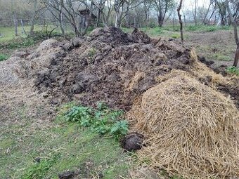 Maštalny konský hnoj