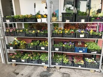 Voziky,police,stojany