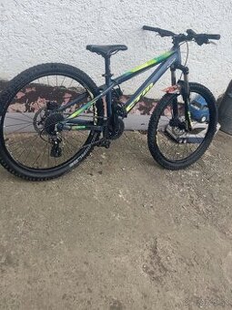 Ctm raptor1.0 2019
