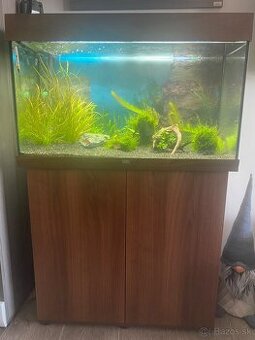 Juwel Rio 125