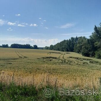 Predaj pozemok 3509m2 na priemysel v obci Oľdza
