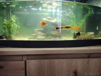 Predám akvárium 60l