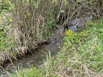 Orná pôda pozemok Trstena 2583m2