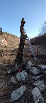Predám orech alebo výmena za stavebný materiál