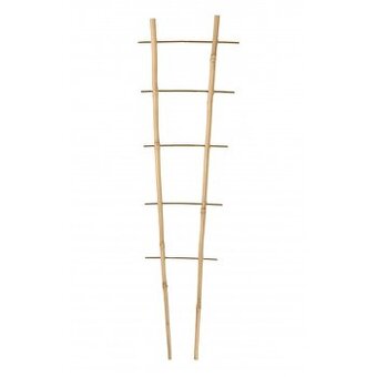 Bambusově rebríky 18ks