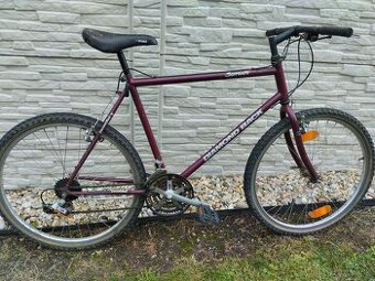 Mestsky bicykel