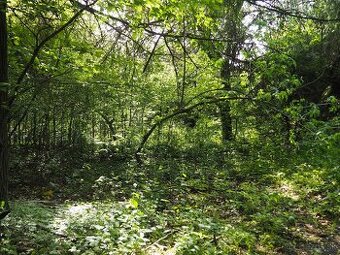 Exkluzívne Predáme pozemok na Kopaniciach - 1