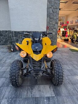 Can am ds 250 - 1